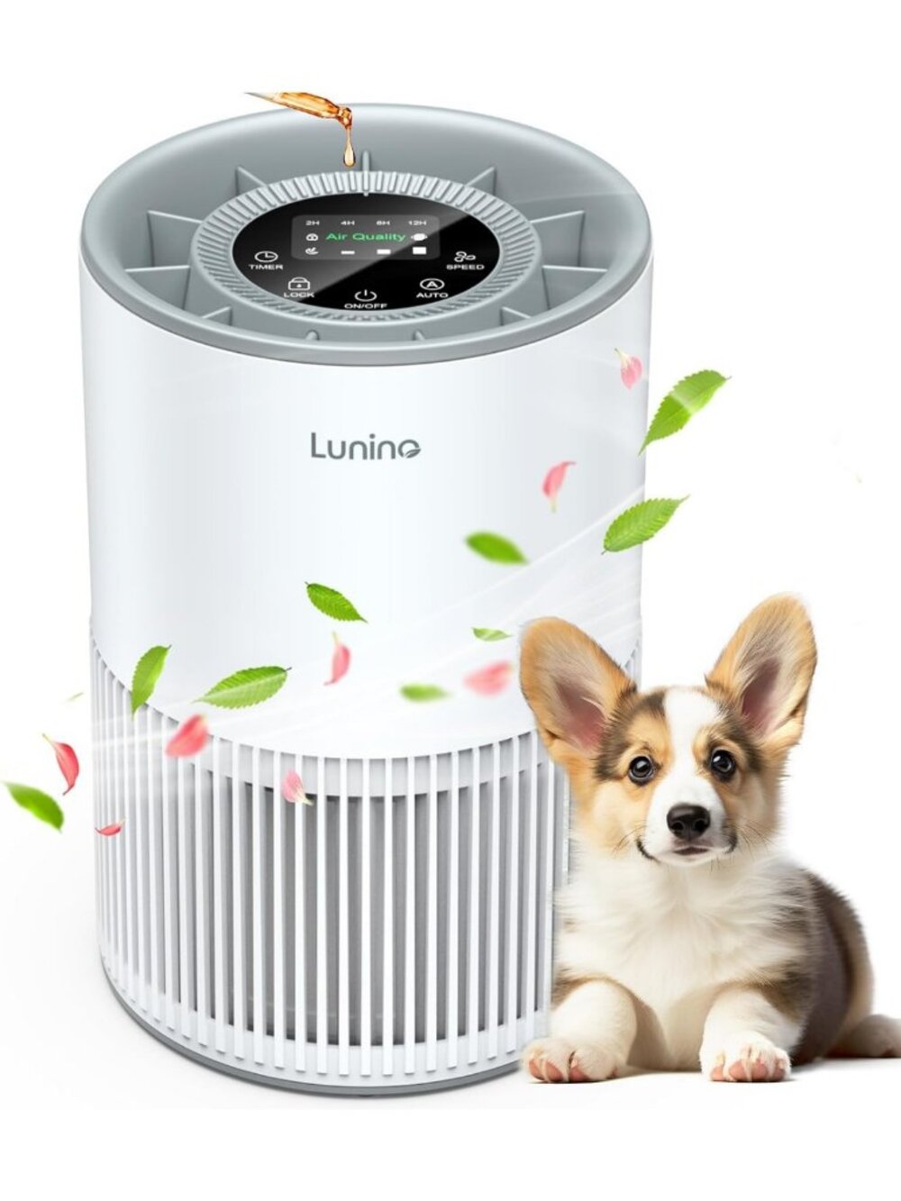 Large Room Air Purifier for Home, True HEPA Filter, Odor & Pet Dander Eliminator